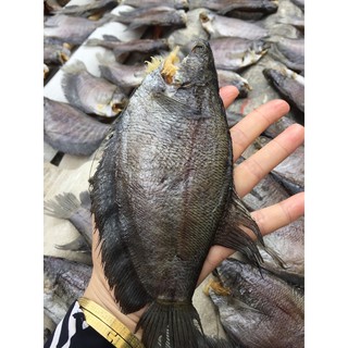 combo khô lóc thòi lòi bổi