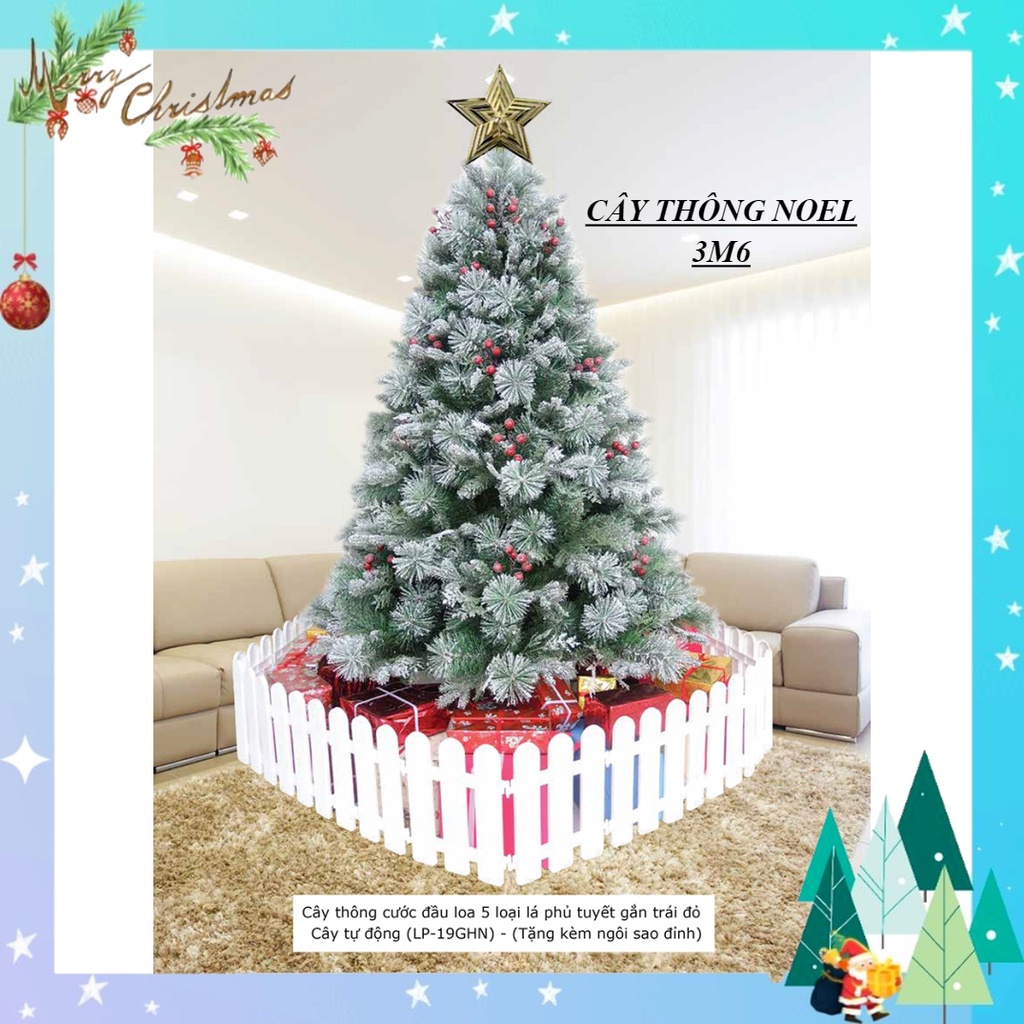 Cây thông noel phủ tuyết 3m6, câu thông noel cước đầu loa 5 loại lá gắn trái đỏ tán lá dày trang trí giáng sinh