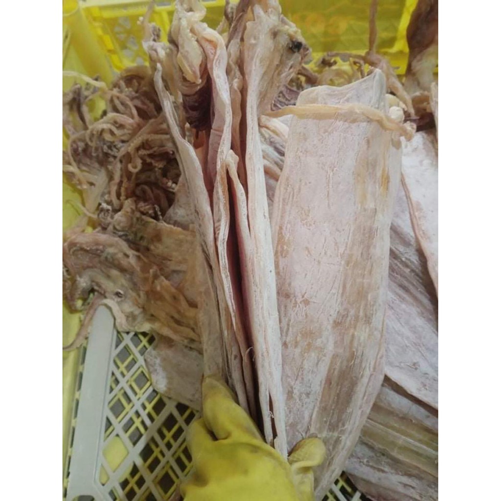 Khô mực TO VÀ HƠI MỎNG 500g - loại 12-14 CON/KG - Hải sản Cô Tô