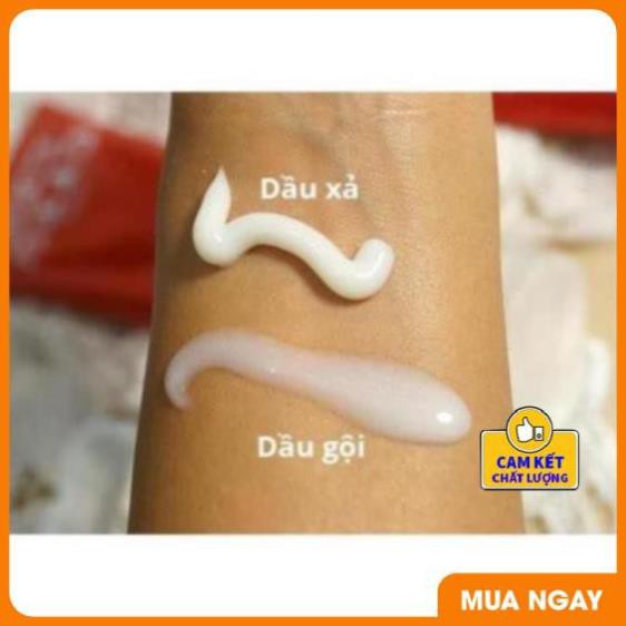 FREESHIP TOÀN QUỐC - Dầu Gội TiGi Đỏ 1500ML/Cặp [Phục Hồi Tóc Hư Tổn] | BigBuy360 - bigbuy360.vn