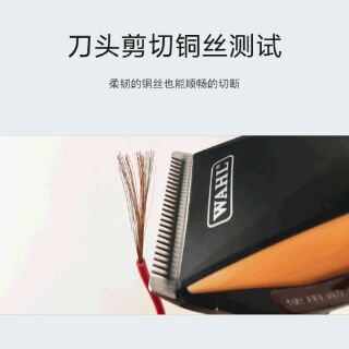 Tông Pin Wahl- 2226