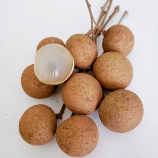 Nhãn lồng Hưng Yên ngon ngọt cơm dày khô ráo nước,,.giao nhanh khu vực SÀI GÒN (500G)