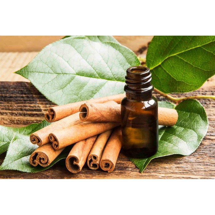 Tinh Dầu Quế Thiên Nhiên khử mùi, tốt cho hệ tiêu hoá, chống vi khuẩn nấm mốc Cinnamon Essential Oil AloAroma