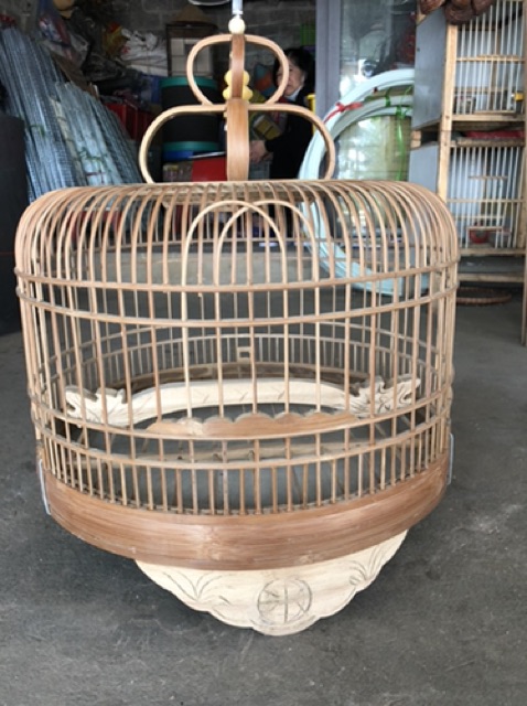 Lồng cu gáy đẹp