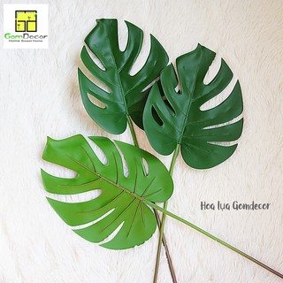 Lá trầu bà răng cưa giả