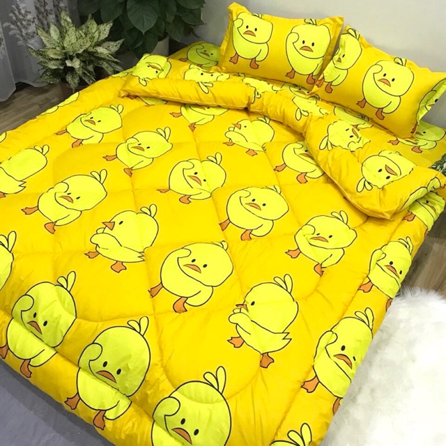 Chăn Phao Hàng Cotton Poly Dày Dặn, Chăn Kích Thước 1.6*2M, Hàng Chuẩn Loại 1