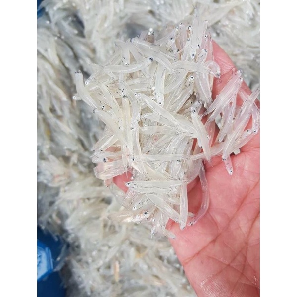 CÁ MỜM CƠM SỮA. KHAY 500G