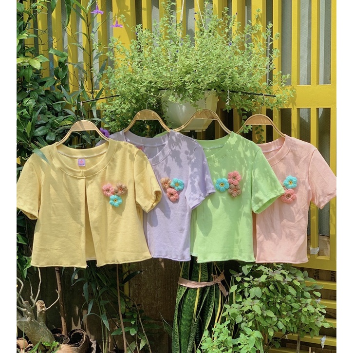 Áo khoác thun cotton màu nhẹ | Nhà Tím