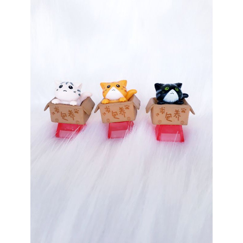 Keycap bé mèo trong hộp (baby cat in box), trang trí bàn phím.