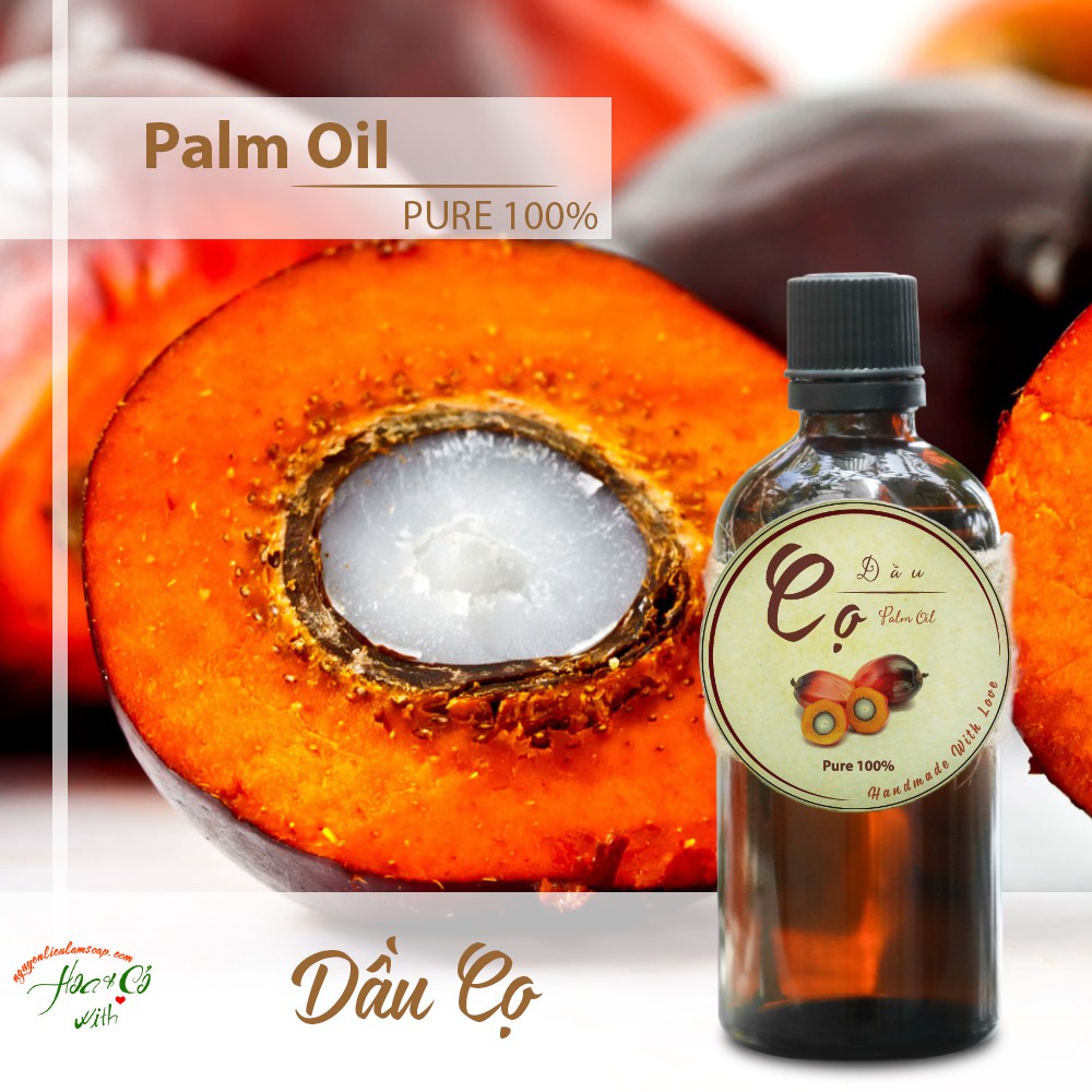 GIÁ SỈ : DẦU CỌ ( PALM OIL )