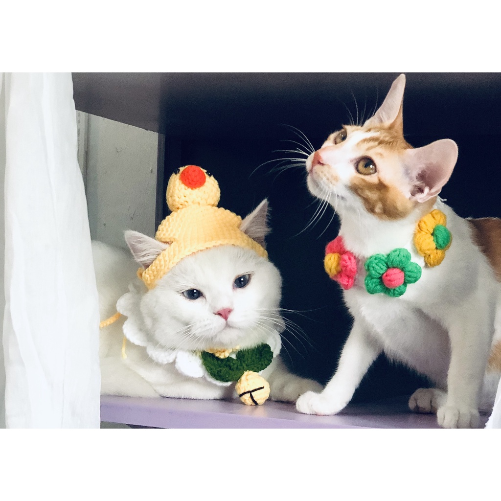 Mũ/nón len cosplay con vịt vàng mũ con vịt cho thú cưng