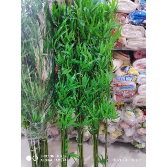 Cây trúc giả