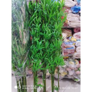 Cây trúc giả