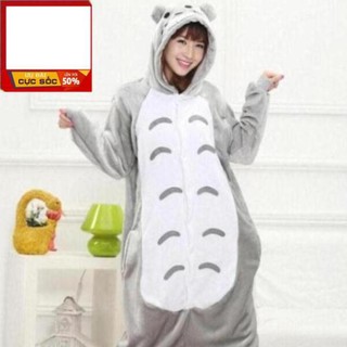 Bộ Đồ Thú ❤️ FREESHIP ❤️Bộ Đồ Thú Totoro