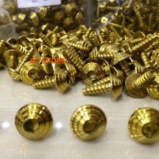Bộ 02 Ốc Gắng Mica Che Phuột Winner, Winner X