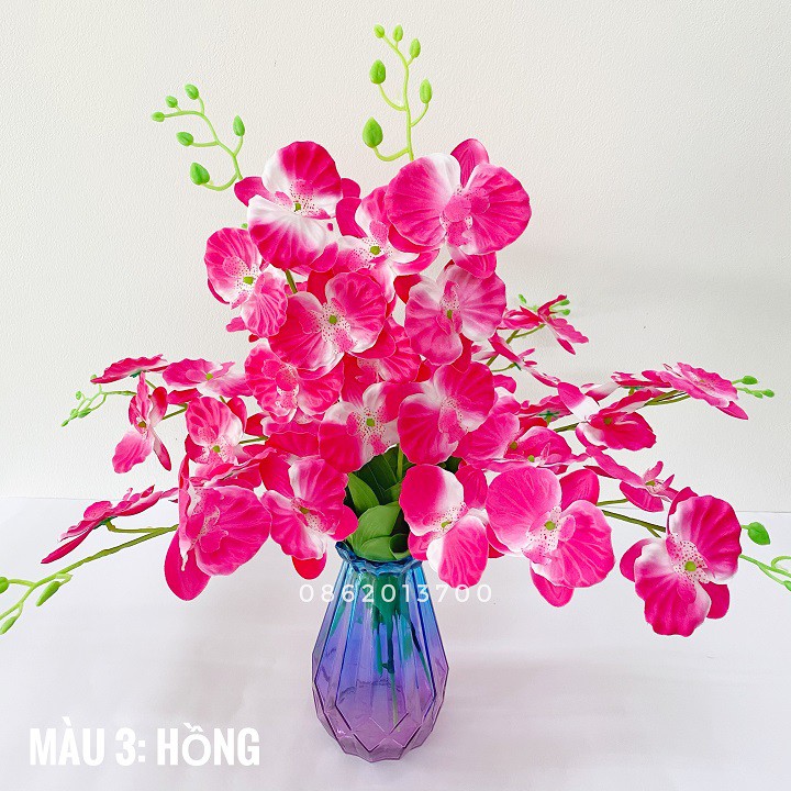 Hoa giả - Combo 10 cành Hoa Lan Hồ Điệp Havi 60cm trang trí bền, đẹp, sang trọng