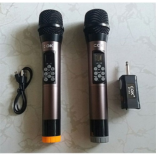 [Mã ELHACE giảm 4% đơn 300K] Micro không dây COK 213 - Điều chỉnh Echo, Bass, Treble trên thân micro