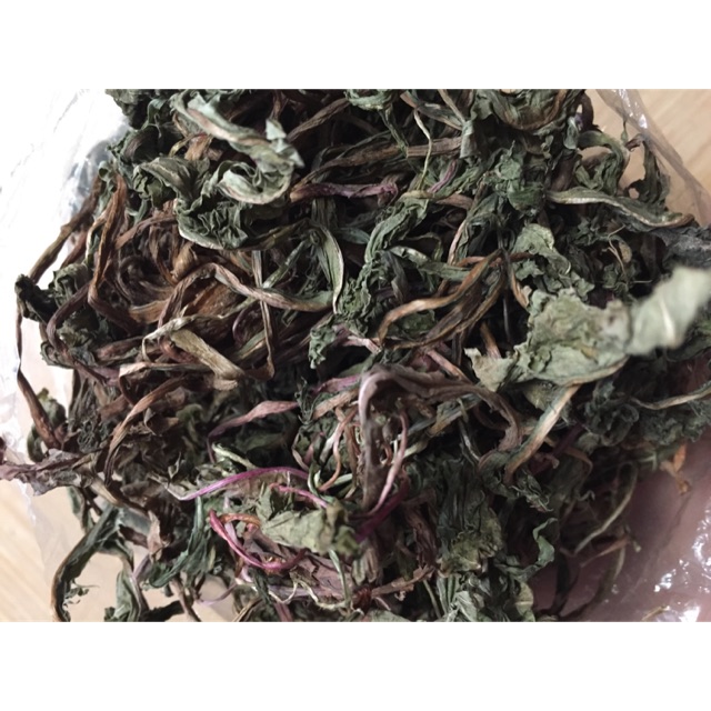 gg4Bồ công anh lùn