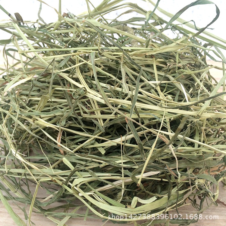 cỏ khô timothy dành cho thỏ bỏ sóc bắc mỹ trên 6 tháng tuổi