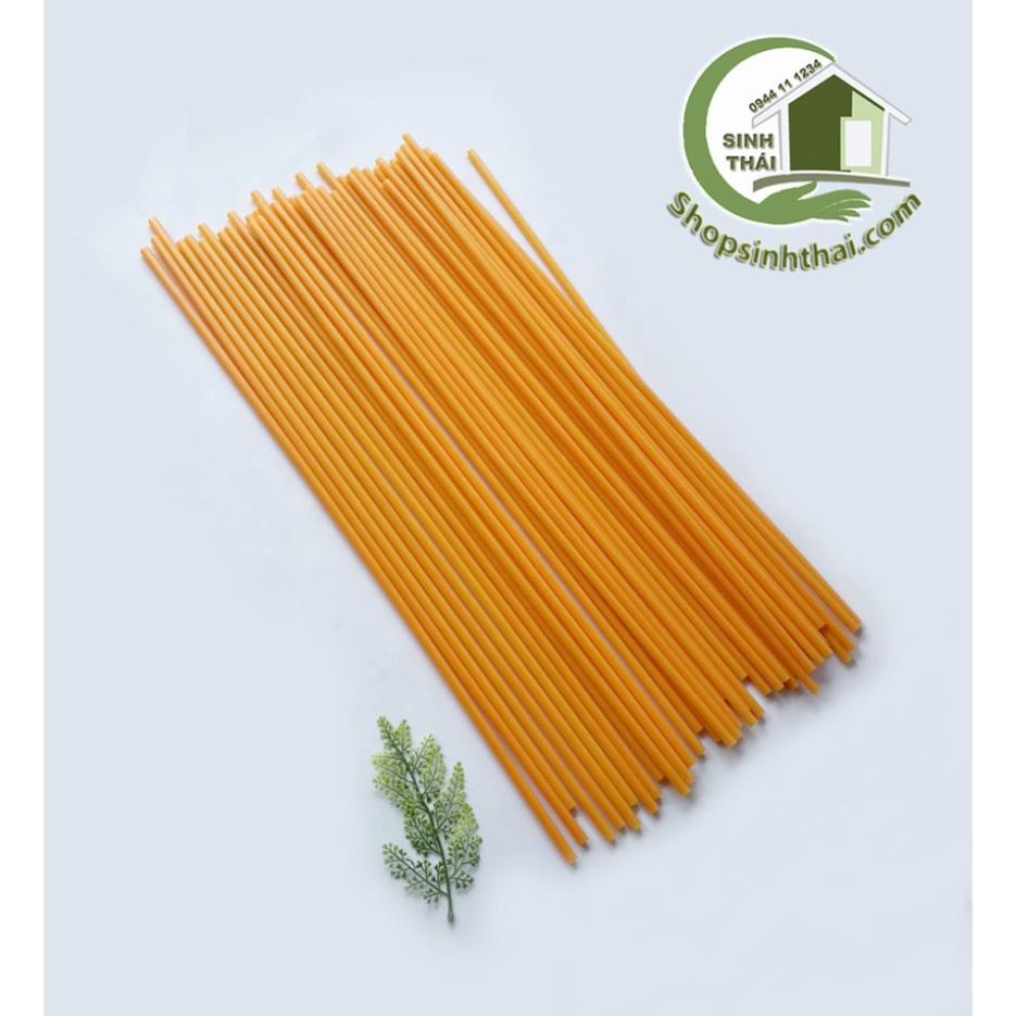 Que nhựa, cây nhựa làm cán cờ, làm cây chống xung quanh chậu cây, dài 60cm, có nắp bịt hai đầu [ 2 cây ]