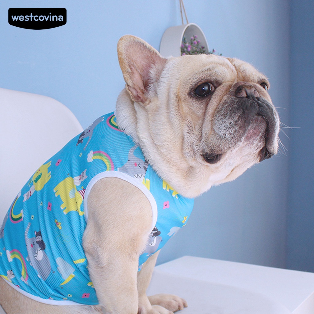 Áo Thun Cotton Chui Đầu Không Dính Họa Tiết Lưới Lông Thú Cưng Chụp Ảnh