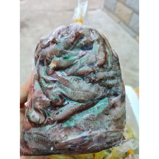 Cá bống miền tây - 500g