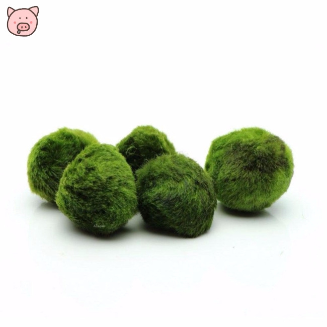 2-4cm Mini Aquarium Plant Shrimp Fish Tank Moss Balls Live Waterweeds Fish Tank Ornament Decoration