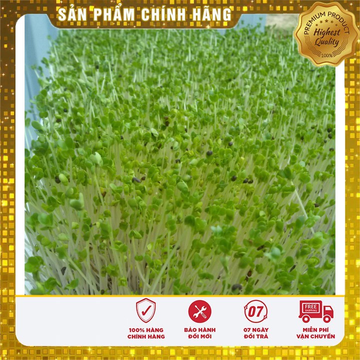 Hạt giống Rau mầm Cải Ngọt ( 50 gram)