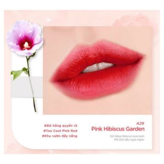 ( Sẵn) Son 𝗕𝗹𝗮𝗰𝗸 𝗥𝗼𝘂𝗴𝗲 𝗔𝗶𝗿 𝗙𝗶𝘁 𝗩𝗲𝗹𝘃𝗲𝘁 𝗧𝗶𝗻𝘁 𝗩𝗲𝗿 𝟔