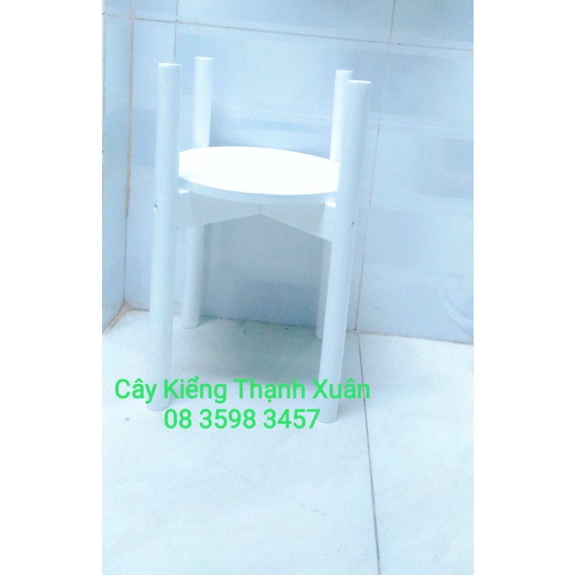 Kệ Giá Gỗ Để Chậu Hoa/Đôn Gỗ Để Chậu Hoa Cây Cảnh Để Bàn Trang Trí Kích Thước Cao 40cm x Rộng 31cm, lọt lòng chậu 26cm