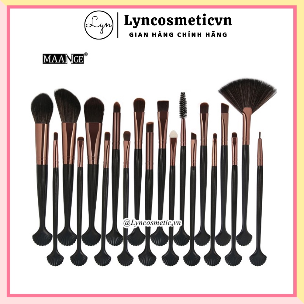 Set cọ maange vỏ sò 20 cây