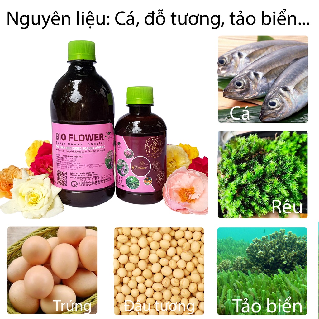 Phân bón hữu cơ vi sinh kích thích ra hoa ROSAVA cho cây cảnh, hoa hồng, hoa giấy, hoa lan, sen đá