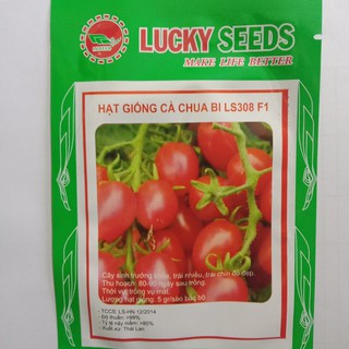 Bán Hạt Giống Cà Chua Bi Siêu Quả Ngon   LUCKY SEEDS -gói 30 hạt hàng chuẩn