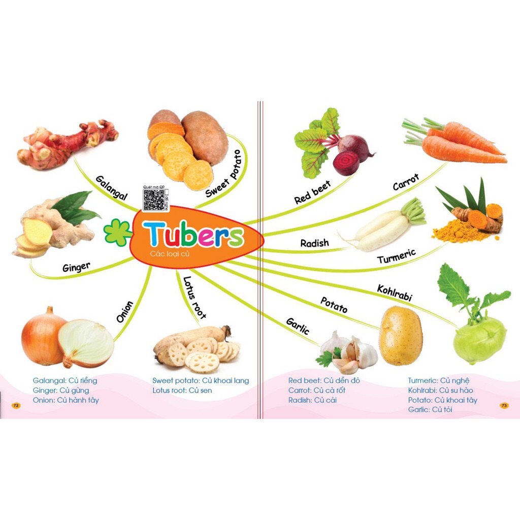 Sách - Chinh Phục Từ Vựng Tiếng Anh Theo Sơ Đồ Tư Duy Mind Map