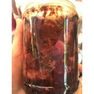 Mắm ruột cá ngừ đại dương