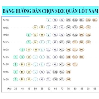 Combo 5 Quần Lót Nam Nhiều Lưng