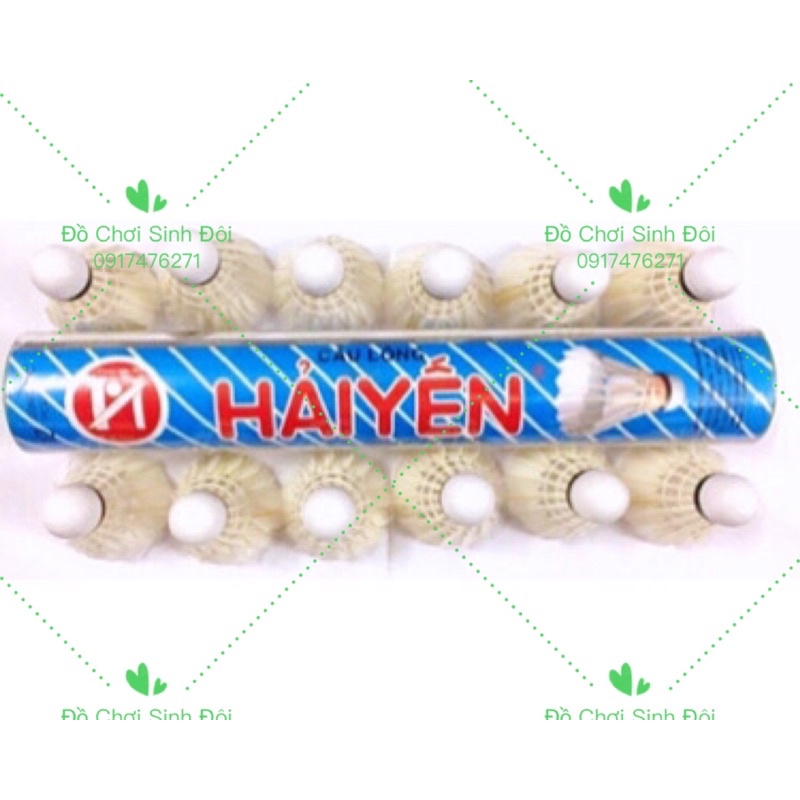 Cầu đánh hải yến - 12 trái