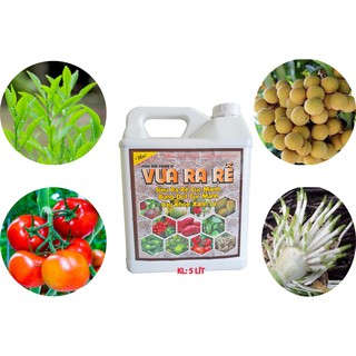 Phân bón vi lượng cao cấp vua ra rễ can 5 lít siêu ra rễ cực mạnh, bung đọt cực mạnh, cây khỏe xanh lá