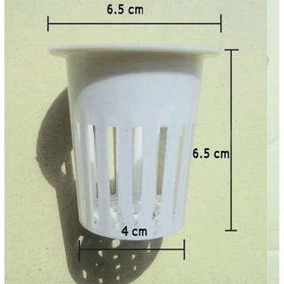 50 rọ trồng rau thủy canh65*65