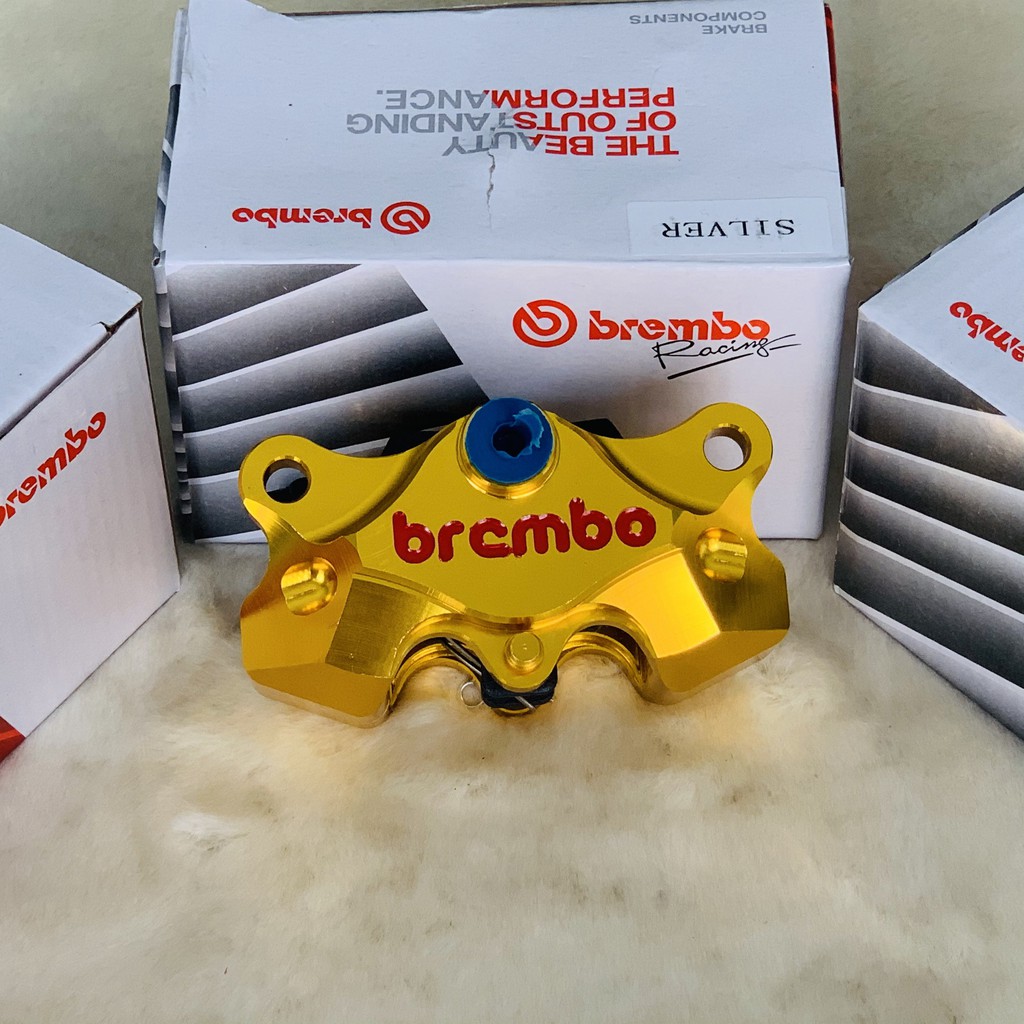 Heo dầu SAU BREMBO 2 pic đối xứng , có pát sau gắn các dòng xe Exx135, 150, winner , raider, satria, sonic