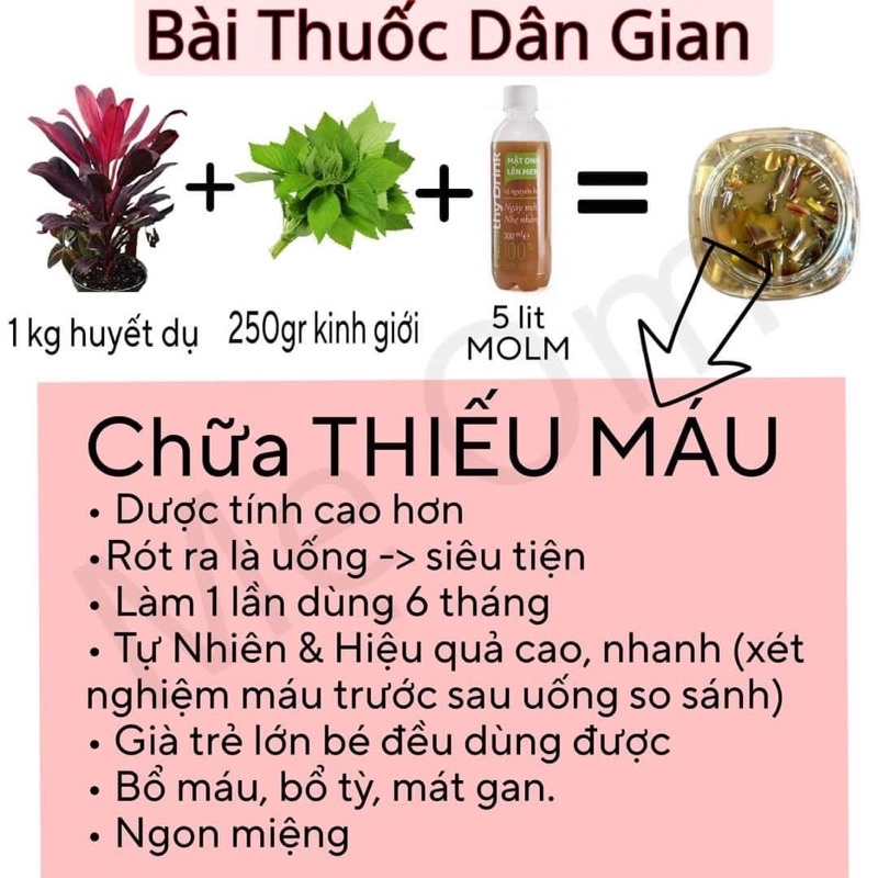 MẬT ONG LÊN MEN ngâm HUYẾT DỤ + KINH GIỚI - Sản phẩm của Sức khoẻ hoàn hảo - Cam kết chính hãng