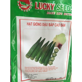 Hạt giống đậu bắp 10g
