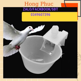 Máng uống nước tự động cho chim, gà...