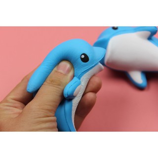 SquiShy cá heo