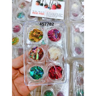 xà cừ vân gỗ trang trí móng ( 1 hộp 6 ô 6 màu)