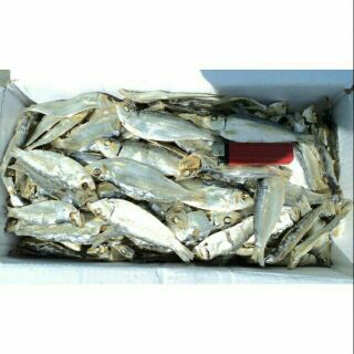 Combo 3kg cá trích, 1kg tép khô