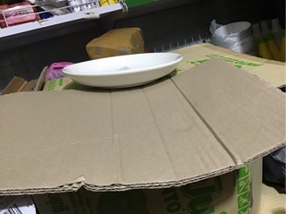 Dĩa sứ 8 inch