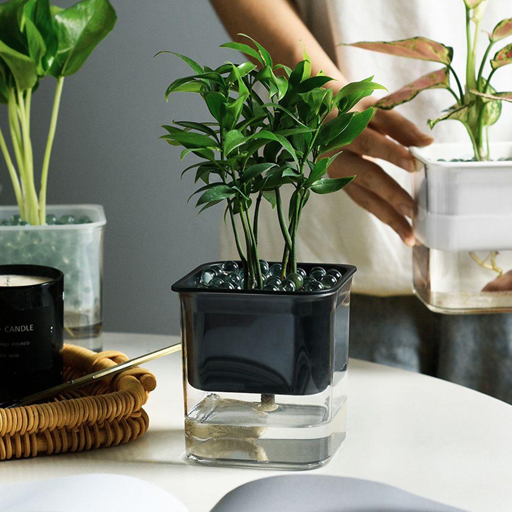 Chậu Trồng Cây Thủy Canh Tự Tưới Nước Tiện Lợi 1 #