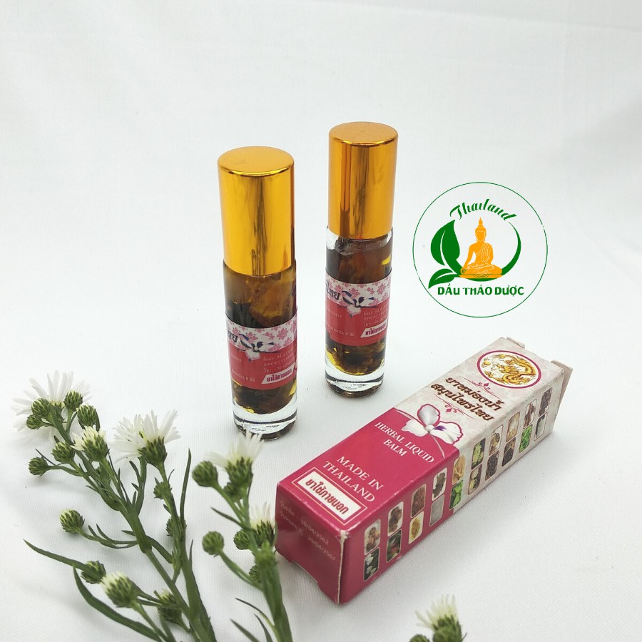 [Combo 1 Lốc 10 Chai] Dầu Gió 20 Loại Thảo Dược Thái Lan thiết kế đầu lăn (Herbal Liquid Balm Puya Brand)+ TẶNG 2 CHAI