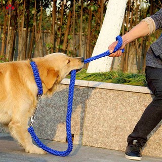 Dây Dắt Thú Cưng Đi Dạo Tiện Lợi